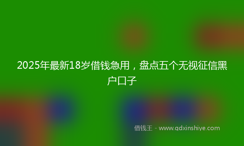2025年最新18岁借钱急用，盘点五个无视征信黑户口子