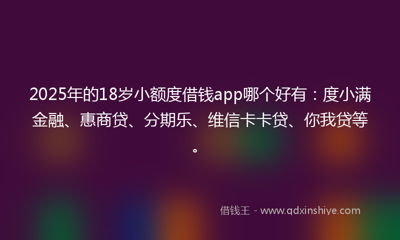 2025年的18岁小额度借钱app哪个好有：度小满金融、惠商贷、分期乐、维信卡卡贷、你我贷等。