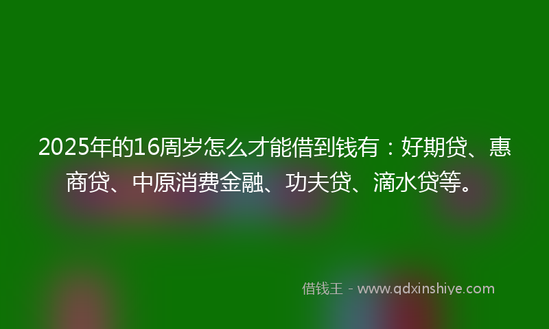 2025年的16周岁怎么才能借到钱有：好期贷、惠商贷、中原消费金融、功夫贷、滴水贷等。