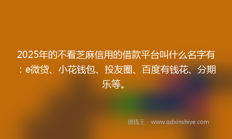 2025年的不看芝麻信用的借款平台叫什么名字有：e微贷、小花钱包、投友圈、百度有钱花、分期乐等。