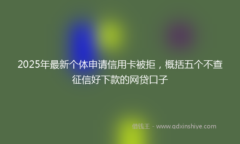 2025年最新个体申请信用卡被拒，概括五个不查征信好下款的网贷口子