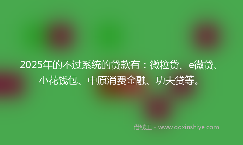 2025年的不过系统的贷款有：微粒贷、e微贷、小花钱包、中原消费金融、功夫贷等。