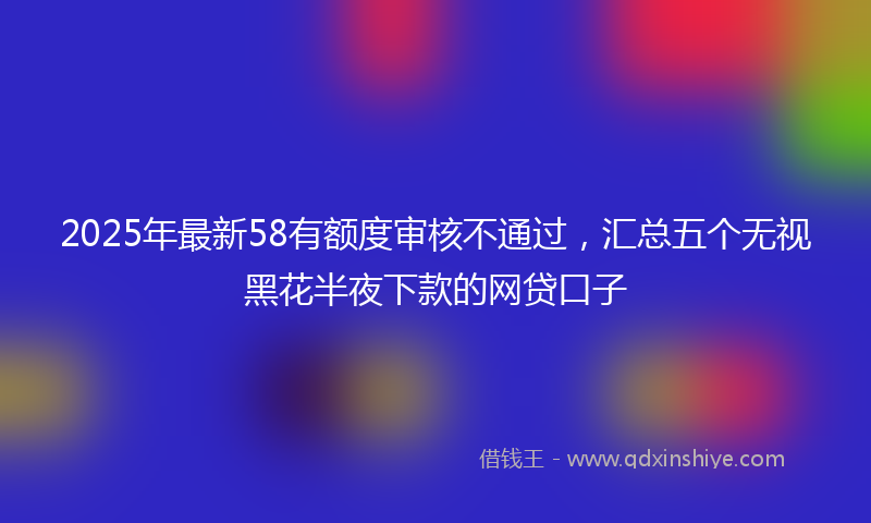 2025年最新58有额度审核不通过，汇总五个无视黑花半夜下款的网贷口子