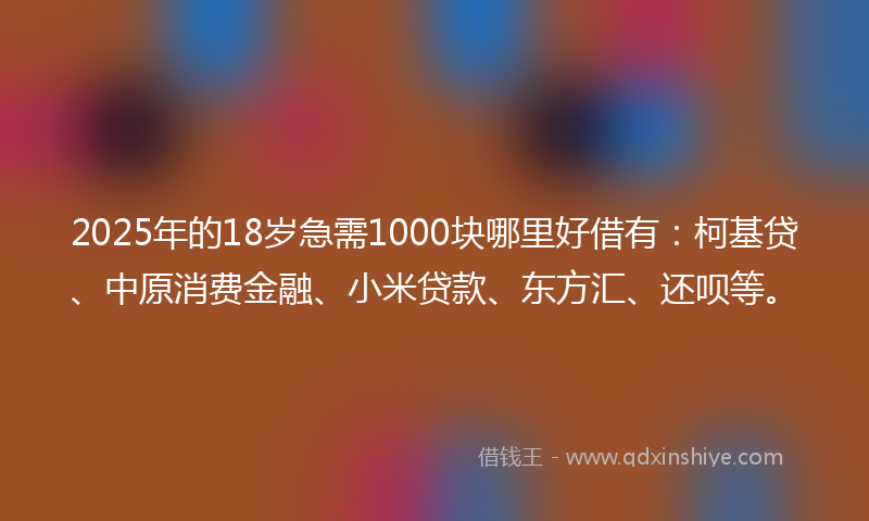 2025年的18岁急需1000块哪里好借有：柯基贷、中原消费金融、小米贷款、东方汇、还呗等。