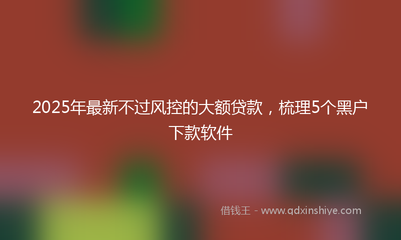 2025年最新不过风控的大额贷款，梳理5个黑户下款软件