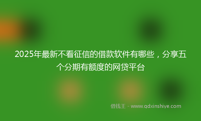 2025年最新不看征信的借款软件有哪些，分享五个分期有额度的网贷平台
