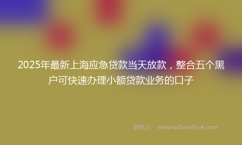2025年最新上海应急贷款当天放款，整合五个黑户可快速办理小额贷款业务的口子