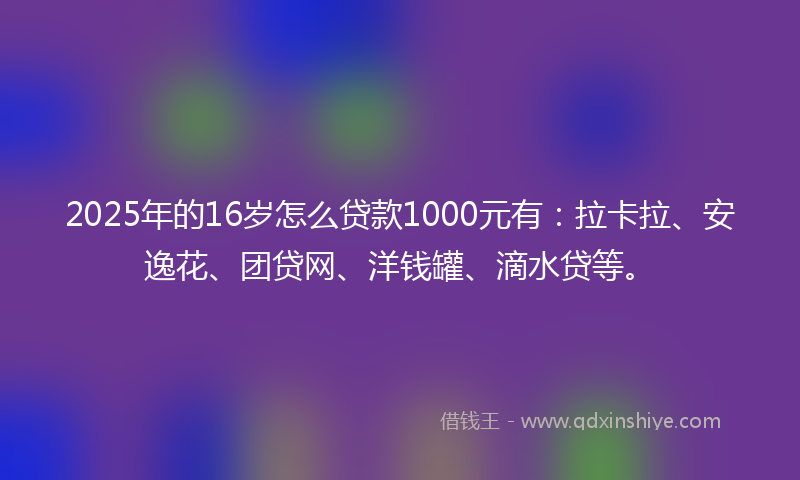 2025年的16岁怎么贷款1000元有：拉卡拉、安逸花、团贷网、洋钱罐、滴水贷等。