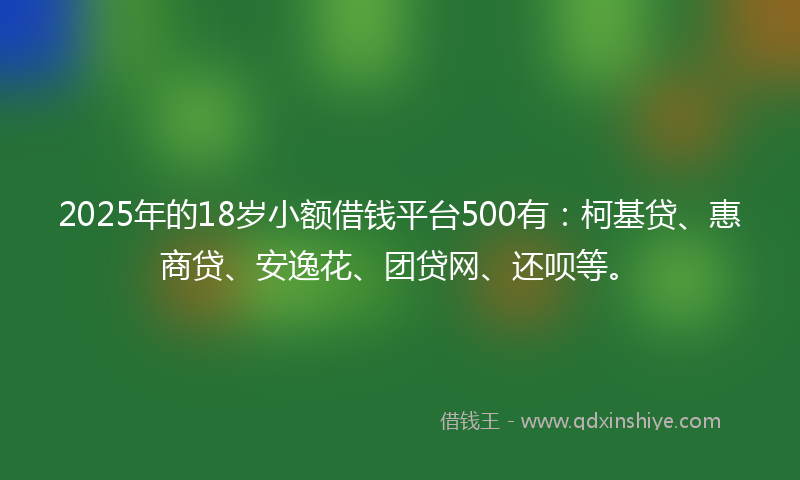 2025年的18岁小额借钱平台500有：柯基贷、惠商贷、安逸花、团贷网、还呗等。