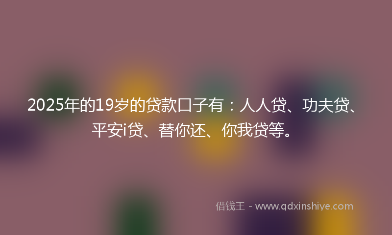 2025年的19岁的贷款口子有：人人贷、功夫贷、平安i贷、替你还、你我贷等。