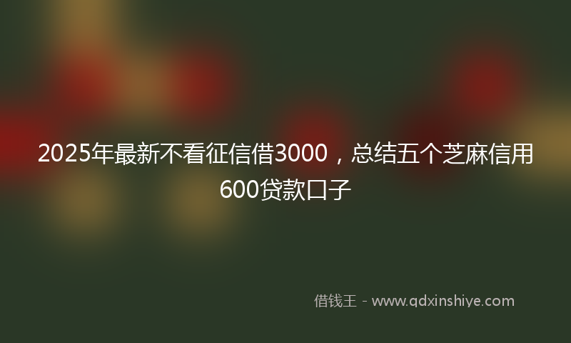 2025年最新不看征信借3000，总结五个芝麻信用600贷款口子