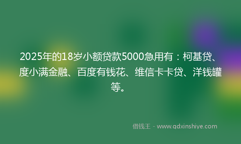 2025年的18岁小额贷款5000急用有：柯基贷、度小满金融、百度有钱花、维信卡卡贷、洋钱罐等。