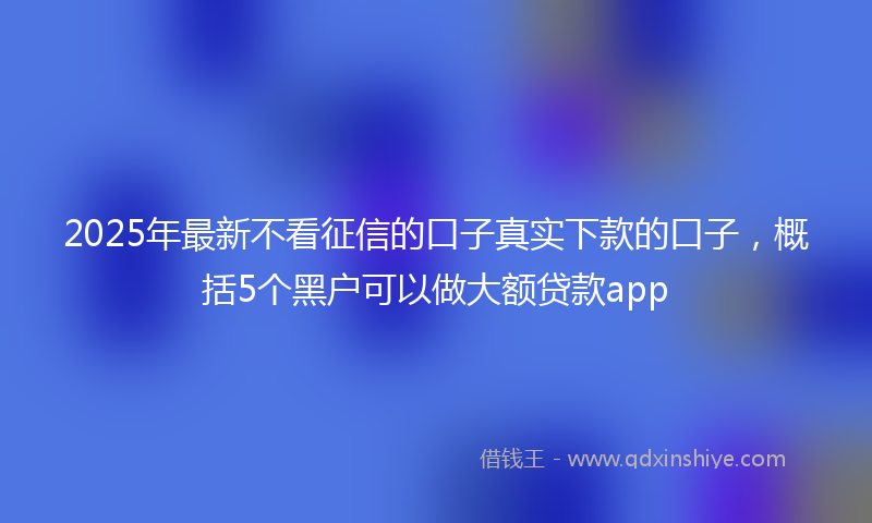 2025年最新不看征信的口子真实下款的口子，概括5个黑户可以做大额贷款app