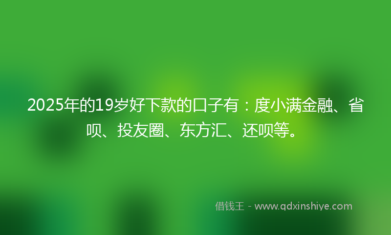 2025年的19岁好下款的口子有：度小满金融、省呗、投友圈、东方汇、还呗等。