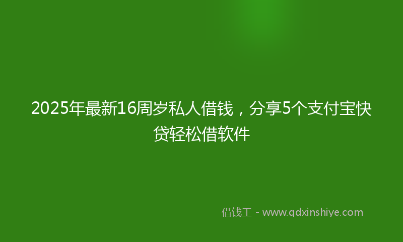 2025年最新16周岁私人借钱，分享5个支付宝快贷轻松借软件