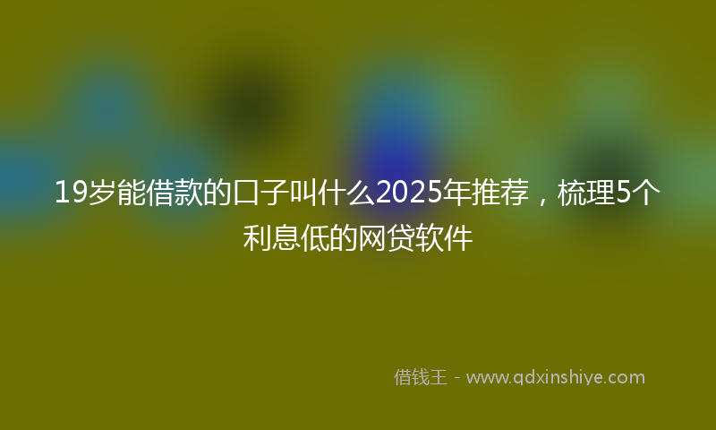 19岁能借款的口子叫什么2025年推荐，梳理5个利息低的网贷软件