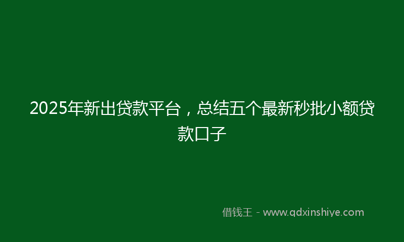 2025年新出贷款平台，总结五个最新秒批小额贷款口子