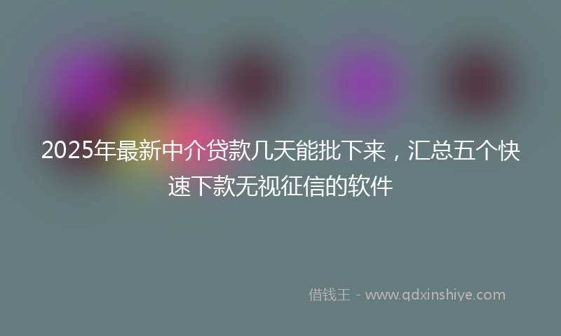 2025年最新中介贷款几天能批下来，汇总五个快速下款无视征信的软件