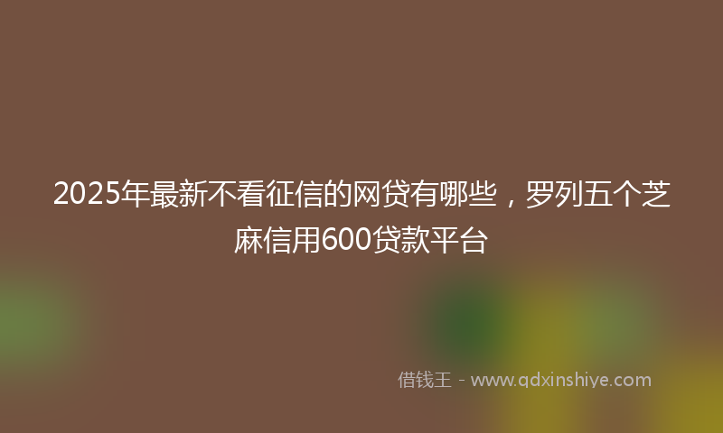 2025年最新不看征信的网贷有哪些，罗列五个芝麻信用600贷款平台