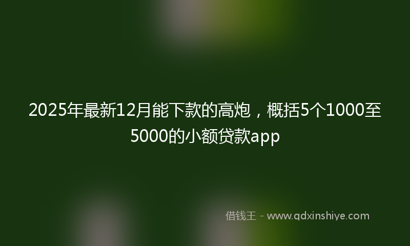 2025年最新12月能下款的高炮，概括5个1000至5000的小额贷款app