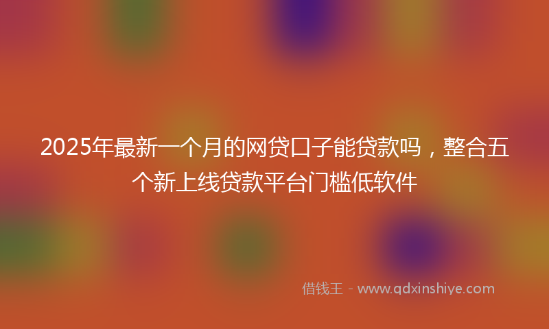 2025年最新一个月的网贷口子能贷款吗，整合五个新上线贷款平台门槛低软件