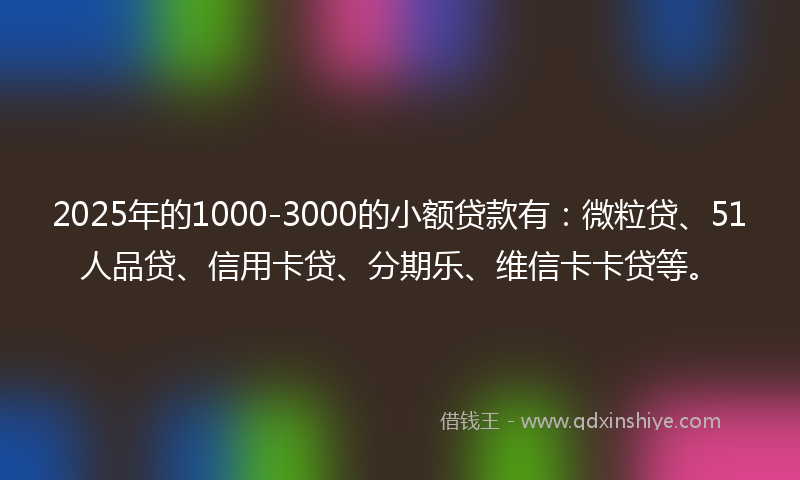 2025年的1000-3000的小额贷款有：微粒贷、51人品贷、信用卡贷、分期乐、维信卡卡贷等。