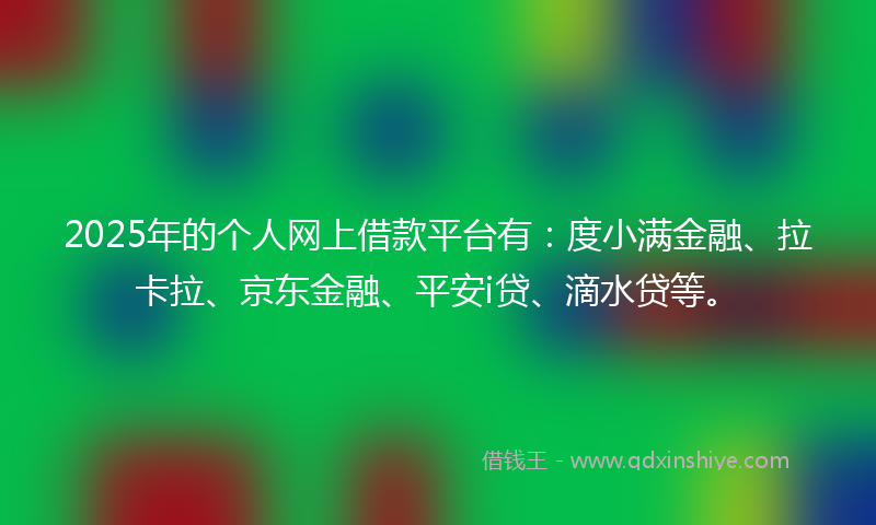 2025年的个人网上借款平台有：度小满金融、拉卡拉、京东金融、平安i贷、滴水贷等。