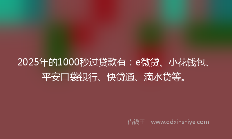 2025年的1000秒过贷款有：e微贷、小花钱包、平安口袋银行、快贷通、滴水贷等。