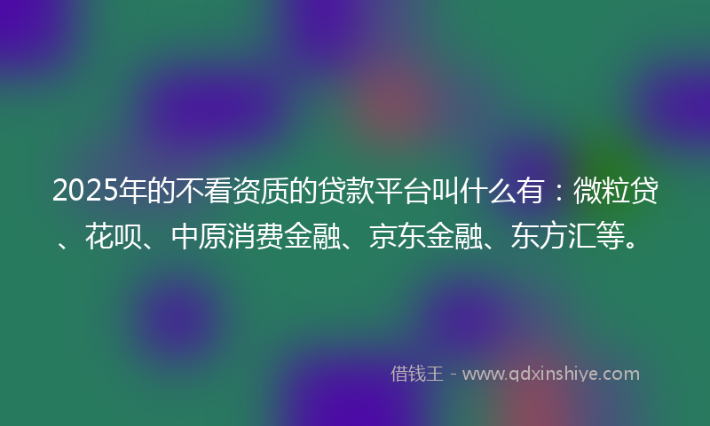 2025年的不看资质的贷款平台叫什么有：微粒贷、花呗、中原消费金融、京东金融、东方汇等。
