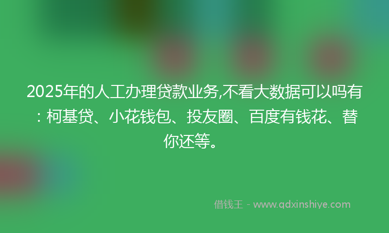 2025年的人工办理贷款业务,不看大数据可以吗有：柯基贷、小花钱包、投友圈、百度有钱花、替你还等。