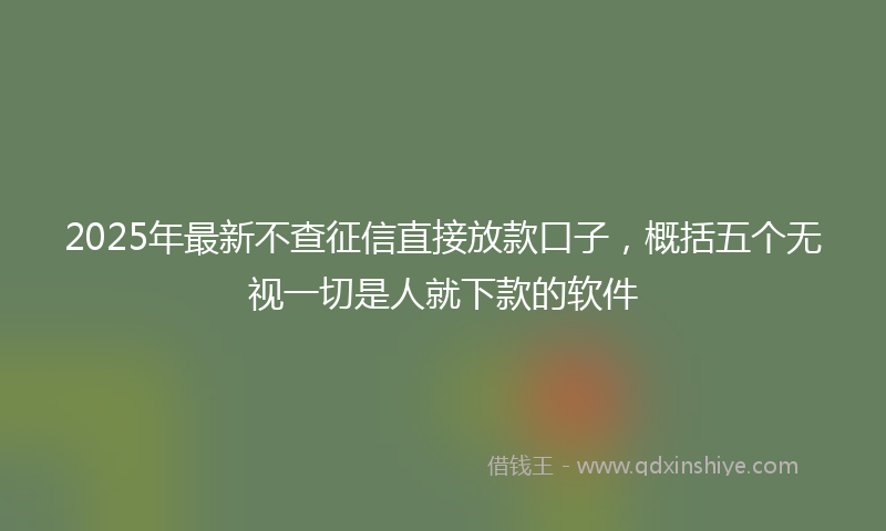 2025年最新不查征信直接放款口子，概括五个无视一切是人就下款的软件
