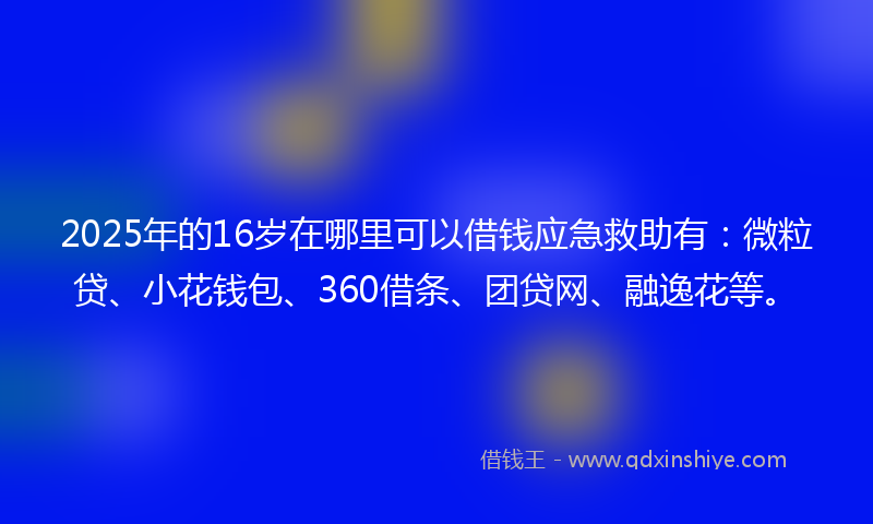 2025年的16岁在哪里可以借钱应急救助有：微粒贷、小花钱包、360借条、团贷网、融逸花等。