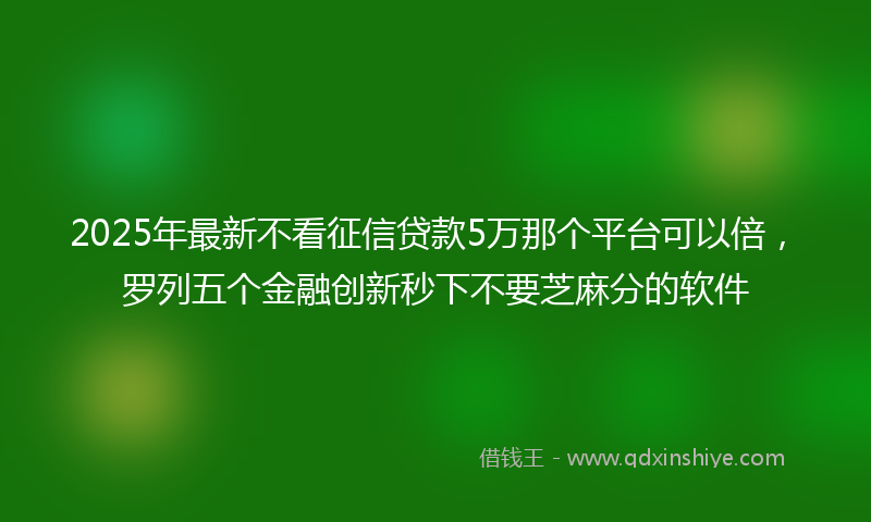 2025年最新不看征信贷款5万那个平台可以倍，罗列五个金融创新秒下不要芝麻分的软件