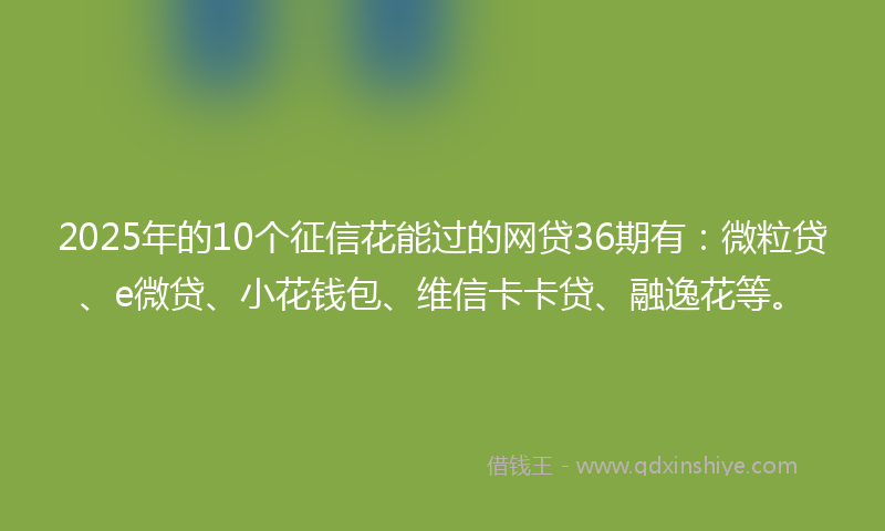 2025年的10个征信花能过的网贷36期有：微粒贷、e微贷、小花钱包、维信卡卡贷、融逸花等。