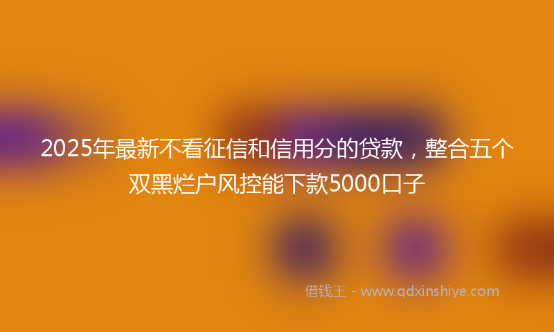 2025年最新不看征信和信用分的贷款，整合五个双黑烂户风控能下款5000口子