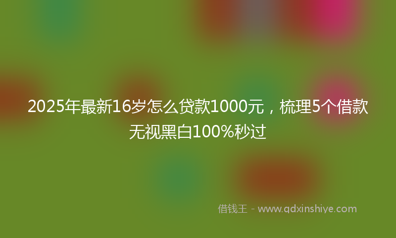 2025年最新16岁怎么贷款1000元，梳理5个借款无视黑白100%秒过
