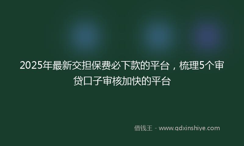 2025年最新交担保费必下款的平台，梳理5个审贷口子审核加快的平台