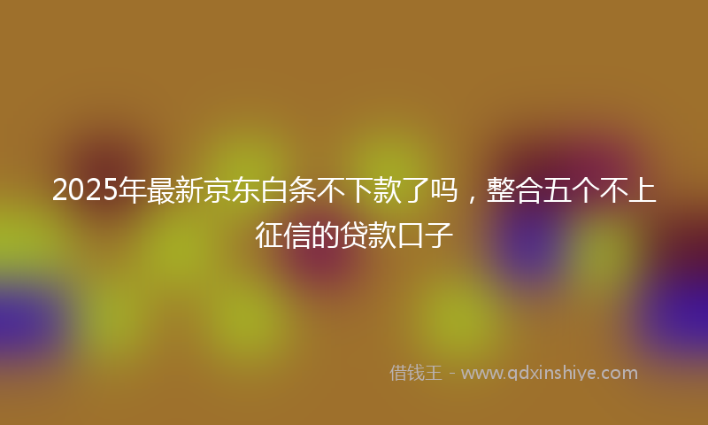 2025年最新京东白条不下款了吗，整合五个不上征信的贷款口子