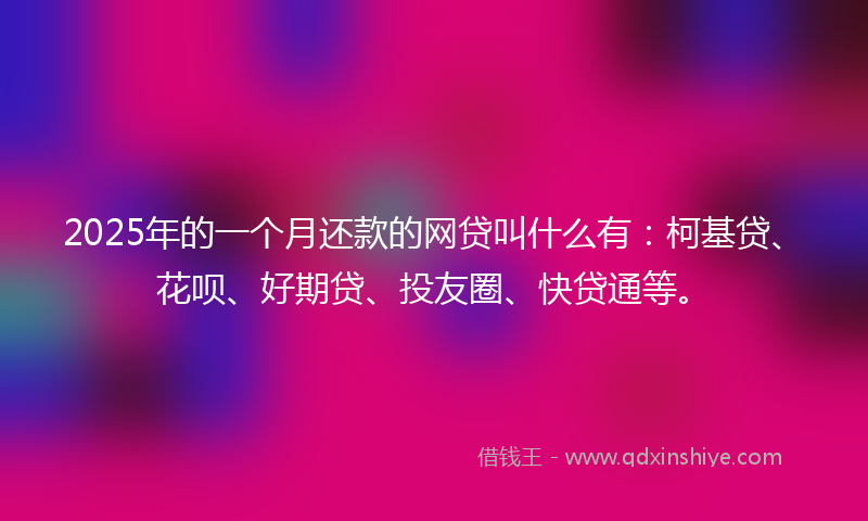 2025年的一个月还款的网贷叫什么有：柯基贷、花呗、好期贷、投友圈、快贷通等。