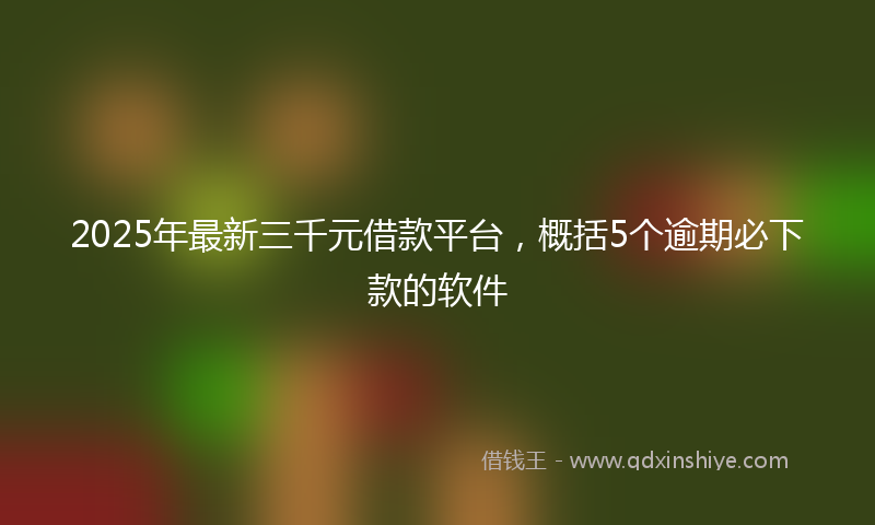 2025年最新三千元借款平台，概括5个逾期必下款的软件