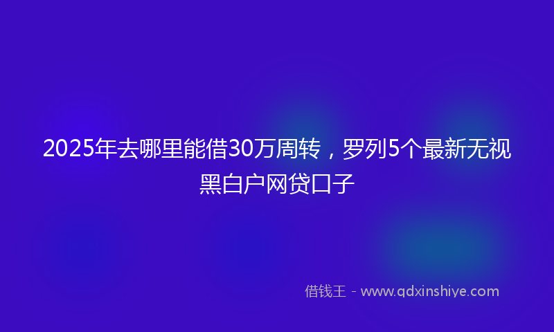 2025年去哪里能借30万周转，罗列5个最新无视黑白户网贷口子