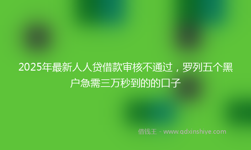 2025年最新人人贷借款审核不通过，罗列五个黑户急需三万秒到的的口子