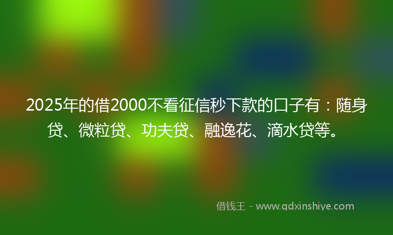 2025年的借2000不看征信秒下款的口子有：随身贷、微粒贷、功夫贷、融逸花、滴水贷等。