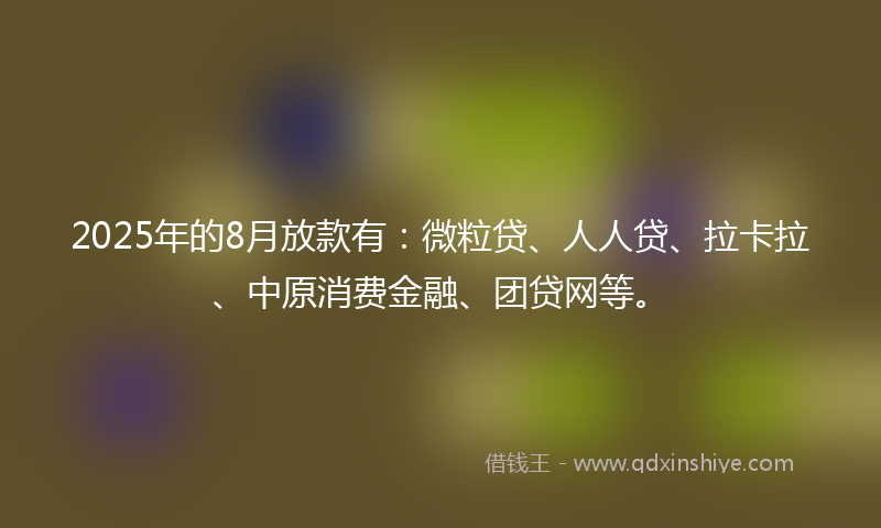 2025年的8月放款有：微粒贷、人人贷、拉卡拉、中原消费金融、团贷网等。