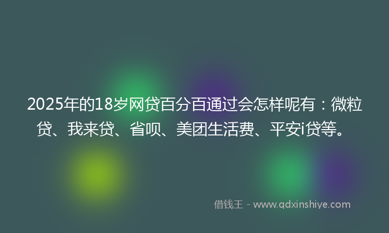 2025年的18岁网贷百分百通过会怎样呢有：微粒贷、我来贷、省呗、美团生活费、平安i贷等。