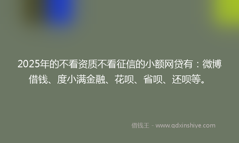 2025年的不看资质不看征信的小额网贷有：微博借钱、度小满金融、花呗、省呗、还呗等。