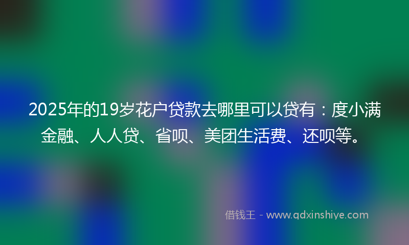 2025年的19岁花户贷款去哪里可以贷有：度小满金融、人人贷、省呗、美团生活费、还呗等。