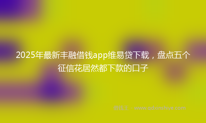 2025年最新丰融借钱app维易贷下载，盘点五个征信花居然都下款的口子