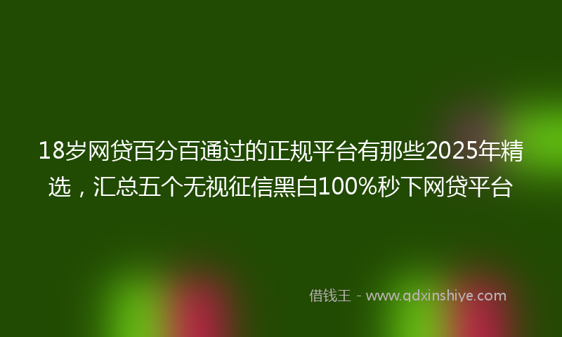 18岁网贷百分百通过的正规平台有那些2025年精选，汇总五个无视征信黑白100%秒下网贷平台