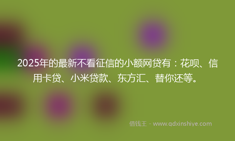 2025年的最新不看征信的小额网贷有：花呗、信用卡贷、小米贷款、东方汇、替你还等。